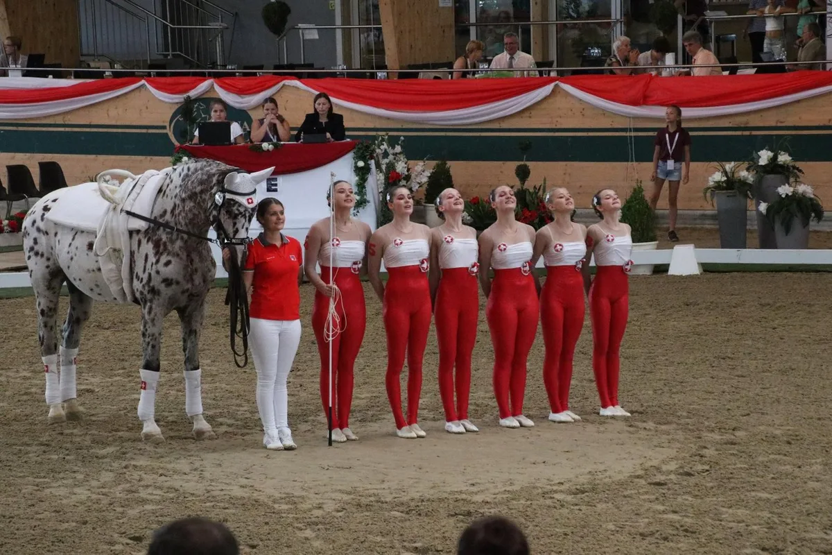 20543714_1420411841361730_3394282289471291013_o WM-Bronze gewonnen: Die erfolgreiche Tösstaler Juniorenequipe. (Bild: Facebook Voltige Tösstal)