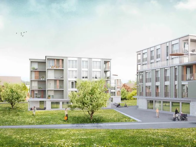 wohnen_im_alter Die geplanten Alterswohnungen auf der Schneckenwiese gliedern sich gut ins Quartier ein und setzen gleichzeitig einen neuen städtebaulichen Akzent. (Bild: zvg), Laut Gaiwo-Geschäftsführer Samuel Schwitter sollen die insgesamt 57 geplanten Alterswohnungen zeitgemäss, kostengünstig und attraktiv sein. (Bild: zvg), Laut Vertrag gibt Seuzach die Schneckenwiese im Baurecht an die Gaiwo ab. (Bild: Michael Hotz), Die Alterswohnhäuser sollen in einem für Seuzach vertrauten Massstab daherkommen. (Bild: zvg)