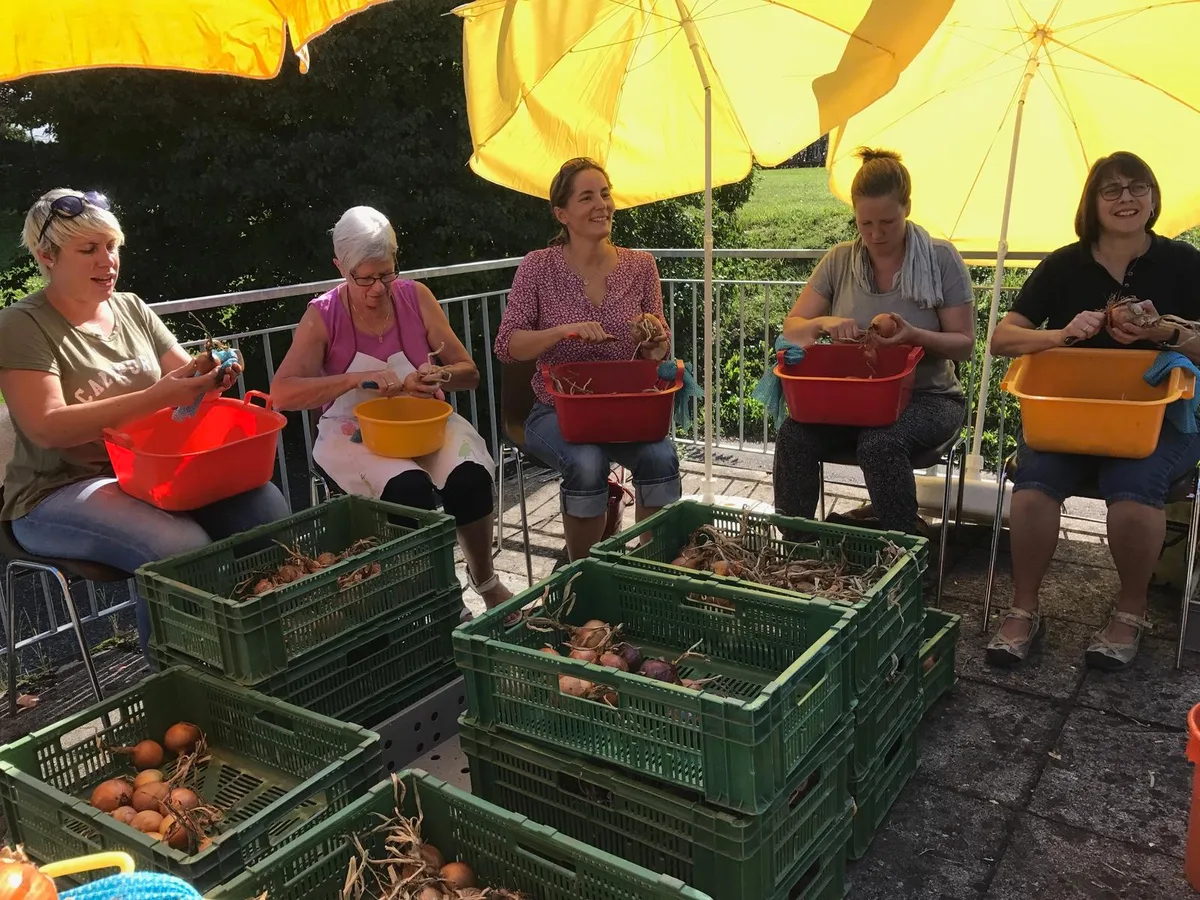 Die freiwilligen Helferinnen des Frauenvereins putzten und zöpfelten dieses Jahr 170 Kilo Zwiebeln. (Bild: zvg), Am Markt gibt es nicht nur Zwiebeln. (Bild: zvg), Wegen des Umbaus des Landenberghauses findet der Böllemärt 2018 nicht im Städtli statt. (Bild: zvg), Dieses Jahr zum 21. Mal mit dabei: das Trio Storchennest. (Bild: zvg), Auf Hochglanz poliert lagern die Zwiebeln fast zwei Monate lang im Vereinslokal des Frauenvereins - und das riecht man dann auch. (Bild: zvg)