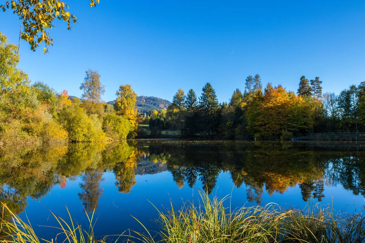 ringwiler_weiher_herbststimmung_15_oktober_17 Raymond Krüttli hat den Ringwiler Weiher in Blickrichtung Bachtel aufgenommen. (Raymond Krüttli)