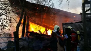 20171025_083547 Die offene Scheune brannte nieder. (Christian Brändli), Die offene Scheune brannte nieder. (Christian Brändli), Das Blockhaus mit dem privaten Museum wurde ein Raub der Flammen. (Christian Brändli), Die offene Scheune brannte nieder. (Christian Brändli), Das Blockhaus mit dem privaten Museum wurde ein Raub der Flammen. (Christian Brändli), Das Blockhaus mit dem privaten Museum wurde ein Raub der Flammen. (Christian Brändli), Der ganze Weiler Chrüzlen ist am Mittwochmorgen voller Feuerwehr- und Rettungsfahrzeuge. (Christian Brändli) , Beim Brand kamen keine Tiere zu Schaden. Die Texaslonghorns waren beim Ausbruch des Feuers auf der Weide. (Christian Brändli), Ein Blockhaus und eine Scheune brannten in der Chrüzlen ab. (Kapo Zürich)