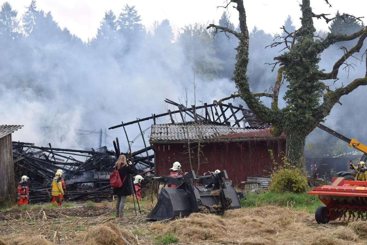 dsc_0210 Die Scheune an der Köhlbergstrasse brannte vollständig aus.
(Bild: Talina Steinmetz), Die Feuerwehr ist mit einem Grossaufgebot vor Ort.
(Bild: Talina Steinmetz) , Die Flammen konnten zum Glück unter Kontrolle gebracht werden.
(Bild: Talina Steinmetz) , Ein Auto und vereinzelte Maschinen wurden beschädigt.
(Bild: Talina Steinmetz) , Mit einem Bagger wurden diverse Geräte aus der Scheune entfernt.
(Bild: Talina Steinmetz) , Mit einem Bagger wurden diverse Geräte aus der Scheune entfernt.
(Bild: Talina Steinmetz) , Die Feuerwehrleute leisten vollen Einsatz.
(Bild: Talina Steinmetz) , Die Löscharbeiten sind noch im Gange.
(Bild: Talina Steinmetz) , Auf dem Köhlberg in Winterthur bietet sich zur Zeit ein mystisches Bild.
(Bild: Talina Steinmetz) , Der Wind spielte eine wichtige Rolle: Er verhinderte, dass die Flammen auf das Wohnhaus nebenan übergriffen.
(Bild: Talina Steinmetz) , Es kamen keine Menschen oder Tiere zu Schaden.
(Bild: Talina Steinmetz) , Die Einsatzkräfte brachten die Scheune zum Einsturz, damit sie sicher arbeiten konnten.
(Bild: Talina Steinmetz) , Ein Brand wütete am Köhlberg in Winterthur.
(Bild: Talina Steinmetz)