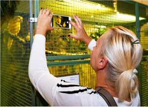 exotis In Russikon zeigten während des Wochenendes in der Ausstellung Exotis die Vögel ihre besten Seiten. (Bild: Urs Weisskopf)