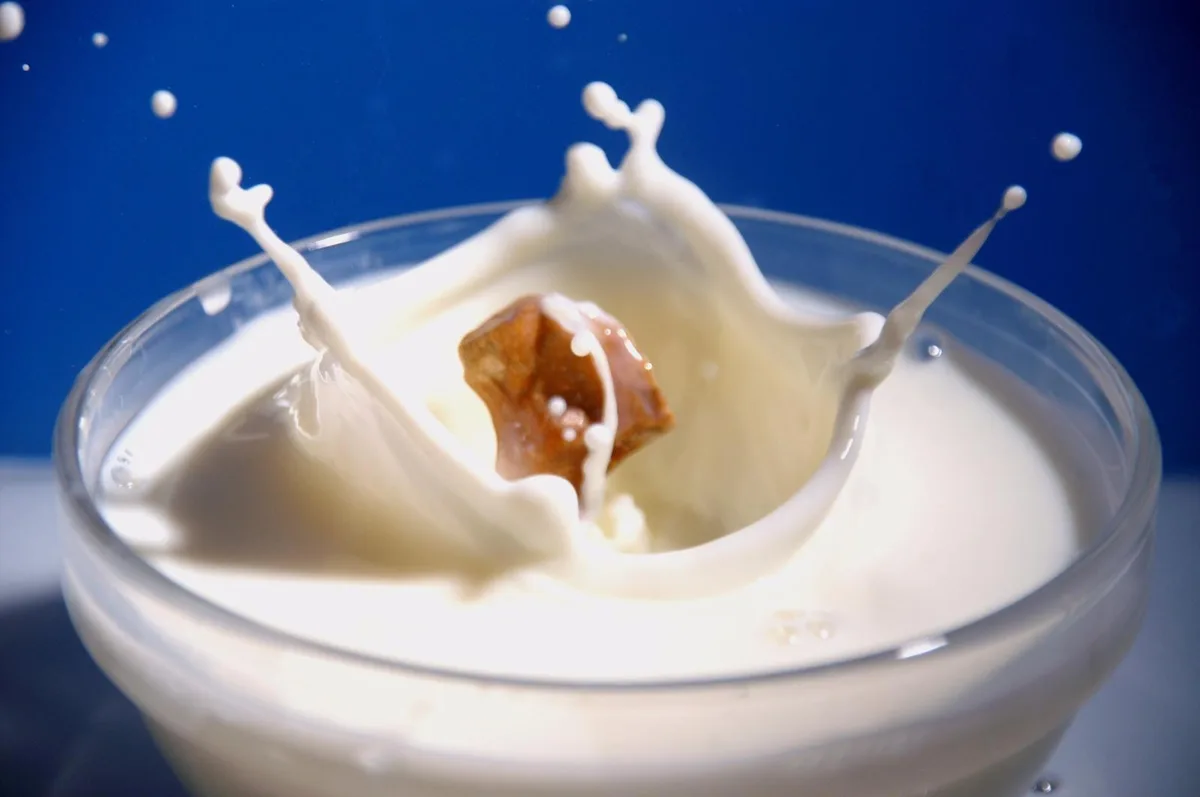 Ob im Kaffee, für das morgentliche Müsli oder als Kakao: Milch wird in vielen Arten genossen. Leider kann sich diese auch negativ auf den Körper auswirken. 

(Symbolbild: mirco1 / pixelio.de)