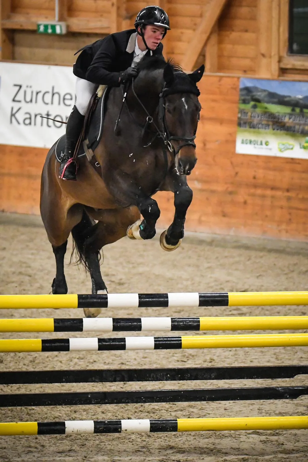 Gewann die Hauptprüfung in Rüti: Anthony Bourquard mit Be Happy. (Bild: Katja Stuppia)