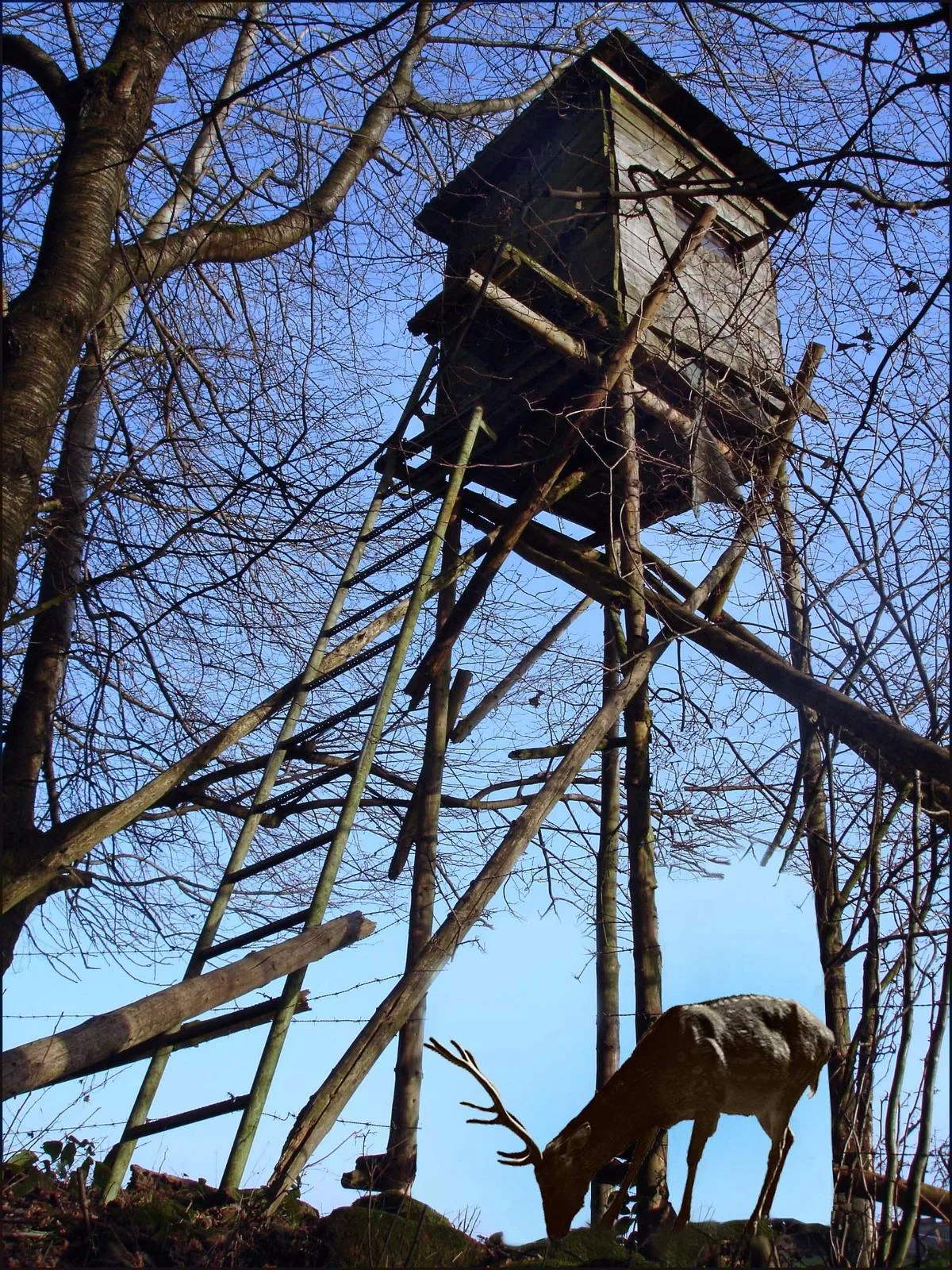Holzbauten wie dieses Jägerhäuschen sind Ziele der Sabotageakte von Tierschützern (Bild: Margot Kessler/pixelio.de)