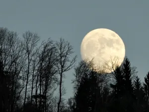 mondaufgang Das Bild des aufgehenden Monds gefiel den Züriost-Lesern am besten. (Urs Simmen)