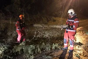2017-12-14_03 Gehört auch zu den Aufgaben der Feuerwehr Uster: Beseitigen der Sturmschäden. (Foto: PD), Brand im Einkaufszentrum Illuster, bei dem ein Feuerwehrmann verletzt wurde. (Foto: PD)