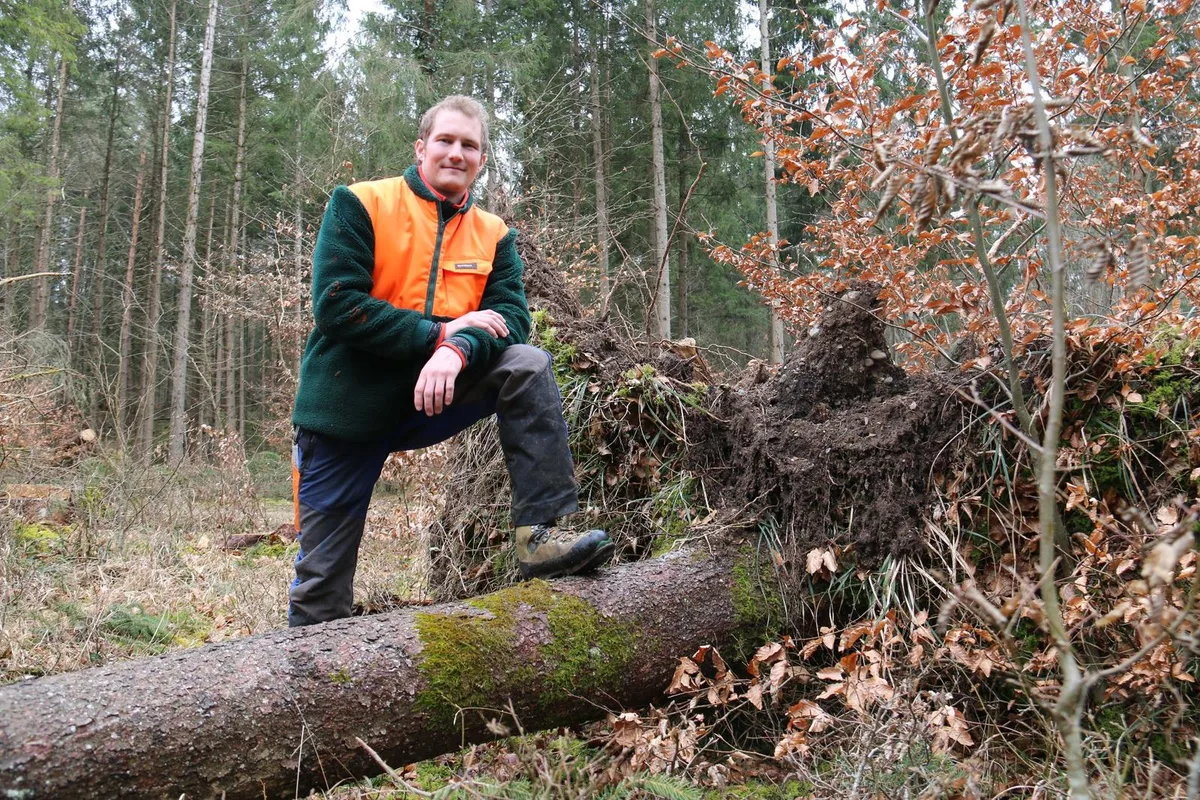Die Fichte ist auf dem Rückzug – auch im Revier von Köbi Schwarz. 

(Foto: pd.) , Der Förster beobachtet «seinen Wald» genau und bereitet ihn für die veränderten Klimaverhältnisse vor. 

(Foto: pd.)