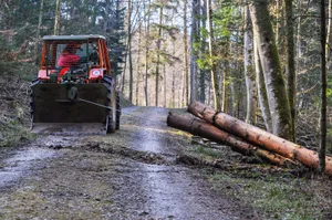 holzarbeiten_1_3 Von den Taglöhner werden auch Waldarbeiten erledigt. Diese sind aber für Jobbus oft ein Verlustgeschäft. (Foto: PD), Rolf Huber ist Abteilungsleiter Arbeit bei Jobbus. (Archivfoto: Gaby Oehler Hunziker)
