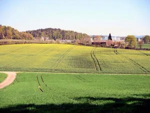 https-zueriost-ch-sites-default-files-media-2018-06-12-mad_kiesgrube009_preview-jpg Mit dieser Wiese in Tagelswangen dürfte bald Schluss sein.