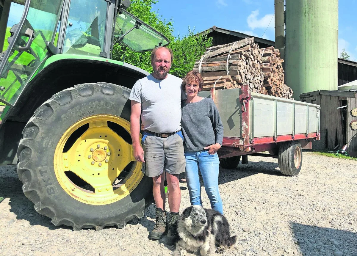 rietlifaescht_front René (links) und Tina Bosshard mit Hund Jerry vor einem Teil des Holzes für den Kohlemeiler (Foto: Eva Kurz), Der zwölfmonatige «Ochs», ein Hereford-Rind aus Bosshards Zucht auf der Weide (Foto: Eva Kurz), René Bosshard (zweiter von rechts) mit seinen Helfern beim Füllihus, um welches das Holz für den Kohlemeiler gestapelt wird (Foto: Eva Kurz)