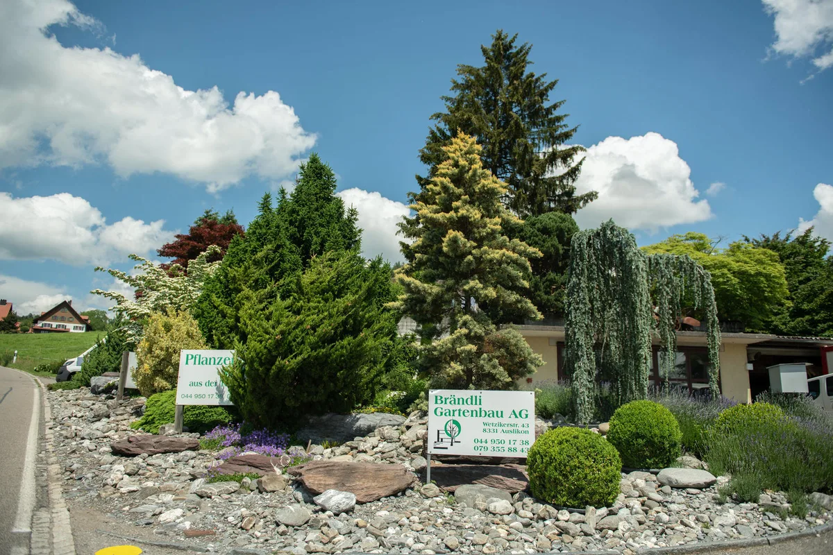 _dsc0722 Die Firma Brändli Gartenbau AG in Auslikon blickt auf eine 50-jährige Erfolgsgeschichte zurück., Erwin Brändli und sein Nachfolger Nick Egli.