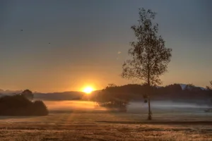 20181014_huesliriet_bubikon_001 Platz 1 mit 122 Stimmen: Morgennebel im Hüsliriet bei aufgehender Sonne, Platz 2 mit 119 Stimmen: Vor dem Sonnenaufgang über dem Pfäffikersee, Platz 3 mit 63 Stimmen: Greifensee bei Fällanden, Platz 4 mit 38 Stimmen: Sonnenaufgang in Fehraltorf, Platz 5 mit 23 Stimmen: Der Herbst zeigt sich auf dem Bahctel