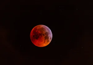 _i9i7578 Platz 1 mit 190 Stimmen: Mondfinsternis mit Sternen über Fällanden, Platz 2 mit 128 Stimmen: Winter in Sternenberg, Platz 3 mit 114 Stimmen: Ein Rinnsal beim Pfäffiker Tobelweiher, Platz 4 mit 21 Stimmen: Winterliche Stille am Lützelsee, Platz 5 mit 15 Stimmen: Winterstimmunf oberhalb des Hasenstricks