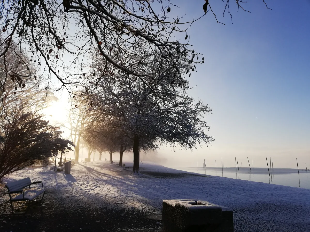 Platz 1 mit 195 Stimmen: Morgenstimmung am Pfäffikersee, Platz 2 mit 178 Stimmen: Hermelin im Winterfell, Platz 3 mit 37 Stimmen: Heimfahrt der A 3/6 01 202 aus Bauma nach Lyss, kurz vor Gibswil, Platz 4 mit 24 Stimmen: Friedliche Winterlandschaft in Unter-Ottikon/Gossau, Platz 5 mit 23 Stimmen: Eisskulptur am Bachtelhang