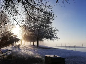pfaeffikon_2 Platz 1 mit 195 Stimmen: Morgenstimmung am Pfäffikersee, Platz 2 mit 178 Stimmen: Hermelin im Winterfell, Platz 3 mit 37 Stimmen: Heimfahrt der A 3/6 01 202 aus Bauma nach Lyss, kurz vor Gibswil, Platz 4 mit 24 Stimmen: Friedliche Winterlandschaft in Unter-Ottikon/Gossau, Platz 5 mit 23 Stimmen: Eisskulptur am Bachtelhang