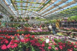 dsc06235 Das Garten-Center Meier ist weitherum für sein vielfältiges Angebot bekannt.