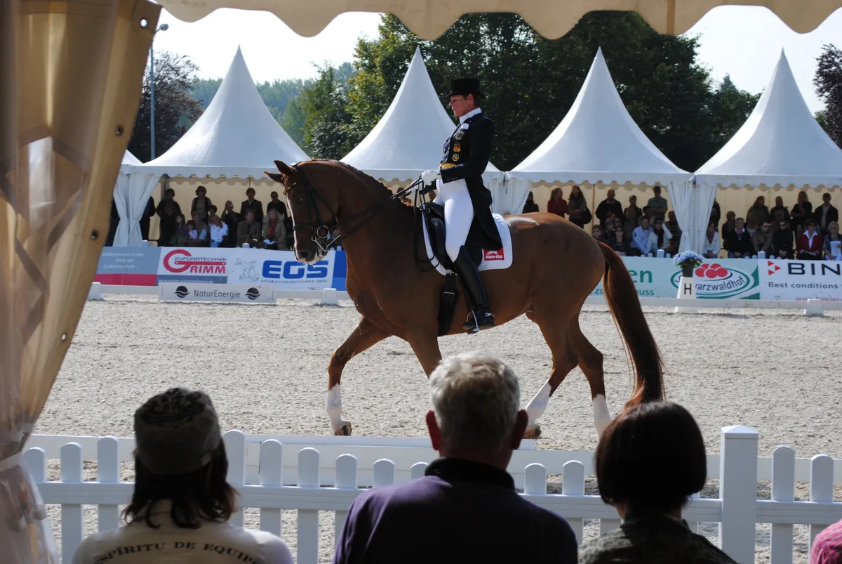 donaueschingen3 Typische Vereinsreise eines Reitvereins: ein internationales Reitturnier.