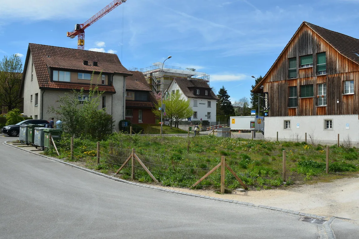 dsc_1667 Das verwilderte Grundstück an der Wallisellenstrasse ist vielen Dübendorfern ein Dorn im Auge.