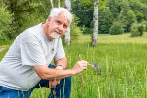 31052019-schwertlilien-hinwil-gu-01 Hansruedi Wildermuth hat das Moorgebiet 45 Jahre lang für Pro Natura ehrenamtlich betreut., Ein Bestand von Iris sibirica mit breitblättrigem Wollgras., Ihren Namen hat die Schwertlilie von den schwertförmigen Blättern. Sie steht auf der Liste der bedrohten Arten der Schweiz., Die Äderung auf dem Hängeblatt und die gelben Saftmale leiten die Hummeln zum Nektar und zur Bestäubung der Blüte., Die Sumpf-Schwertlilie leuchtet gelb. In der Drumlinlandschaft ist sie seltener als die Sibirische.