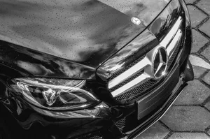 mercedes_pixabay_ Mit zwei Mercedes führte ein Ukrainer aus der Region widerrechtlich Personentransporte durch.