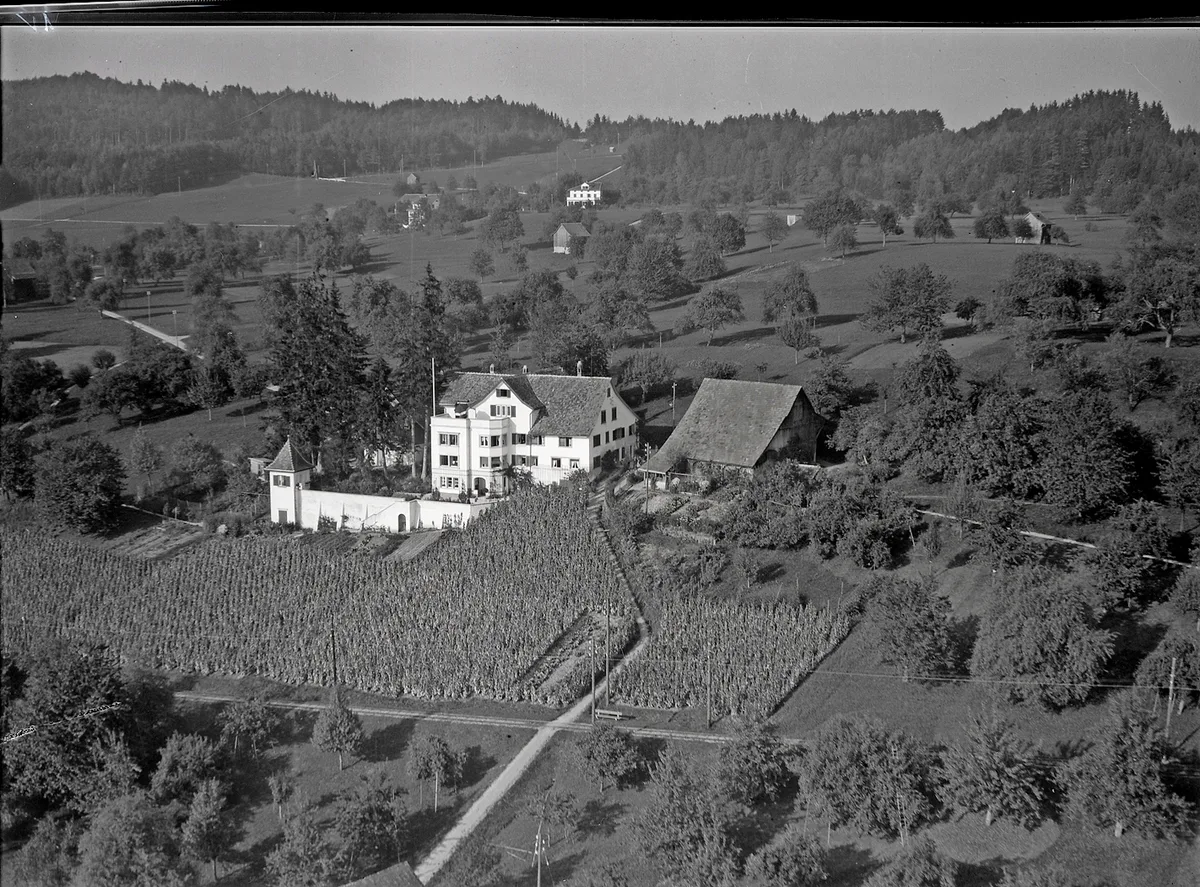 Eine Luftaufnahme von 1931 zeigt die Schienen, die an den Rebflächen entlang vorbeiführten. Bild: ETH-Archiv