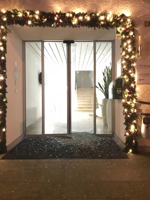 20_vandale_gh_hinwil_kpzh_12_19_1544200130_01431 Unweihnächtlicher Anblick am 7. Dezember 2018: die eingeschlagene Glastüre beim Eingang ins Hinwiler Gemeindehaus., Das erste «Opfer» des Vandalen, als er im Gemeindehaus war: ein grosses Pflanzengefäss.