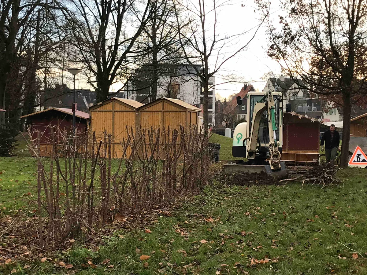 Die Kornelkirschenhecke stand vor der Schulanlage Pünt in Uster., Für Ruth Stahel war die Hecke wegen der Artenvielfalt wertvoll..., ...für die Stadt Uster nicht besonders. Sie liess die Hecke entfernen., Im Stadtpark habe es Pflanzen, die für die Artenvielfalt einen höheren Nutzen bringen.