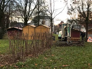 hecke Die Kornelkirschenhecke stand vor der Schulanlage Pünt in Uster., Für Ruth Stahel war die Hecke wegen der Artenvielfalt wertvoll..., ...für die Stadt Uster nicht besonders. Sie liess die Hecke entfernen., Im Stadtpark habe es Pflanzen, die für die Artenvielfalt einen höheren Nutzen bringen.