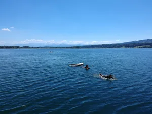 enigmaticsurf_wingsurf_wasser_4 Auf dem Greifensee will Manuel Simmons als neuer Surflehrer Erfolg haben., Manuel Simmons hat durch seine neue Freundin (rechts im Bild) den Greifensee kennengelernt., Auf dem See hat bisher noch keine Lektionen geben können. , Die «gleichmässigen Winde» auf dem See seien ideal für Anfänger, sagt der Surflehrer.
