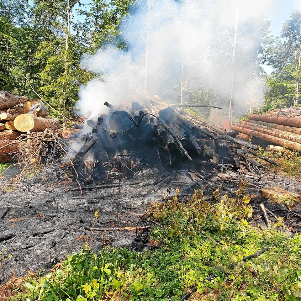 In einem Esslinger Waldstück brannten am Mittwochnachmittag aufgeschichtete Baumstämme., Die Löscharbeiten gestalteten sich danach äusserst aufwändig., Für das Anheben der Baumstämmen wurden zwei spezialisierte Firmen hinzugerufen.
