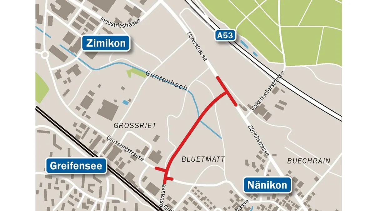 Die Grünen wehren sich gegen die Pläne des Kantons, die Neue Greifenseestrasse durch das Näniker Grossriet zu bauen., Den Abstimmungskampf zu ihren Initiativen zum Schutz des Grossriets lancieren sie mit einem Rundgang vor Ort.
