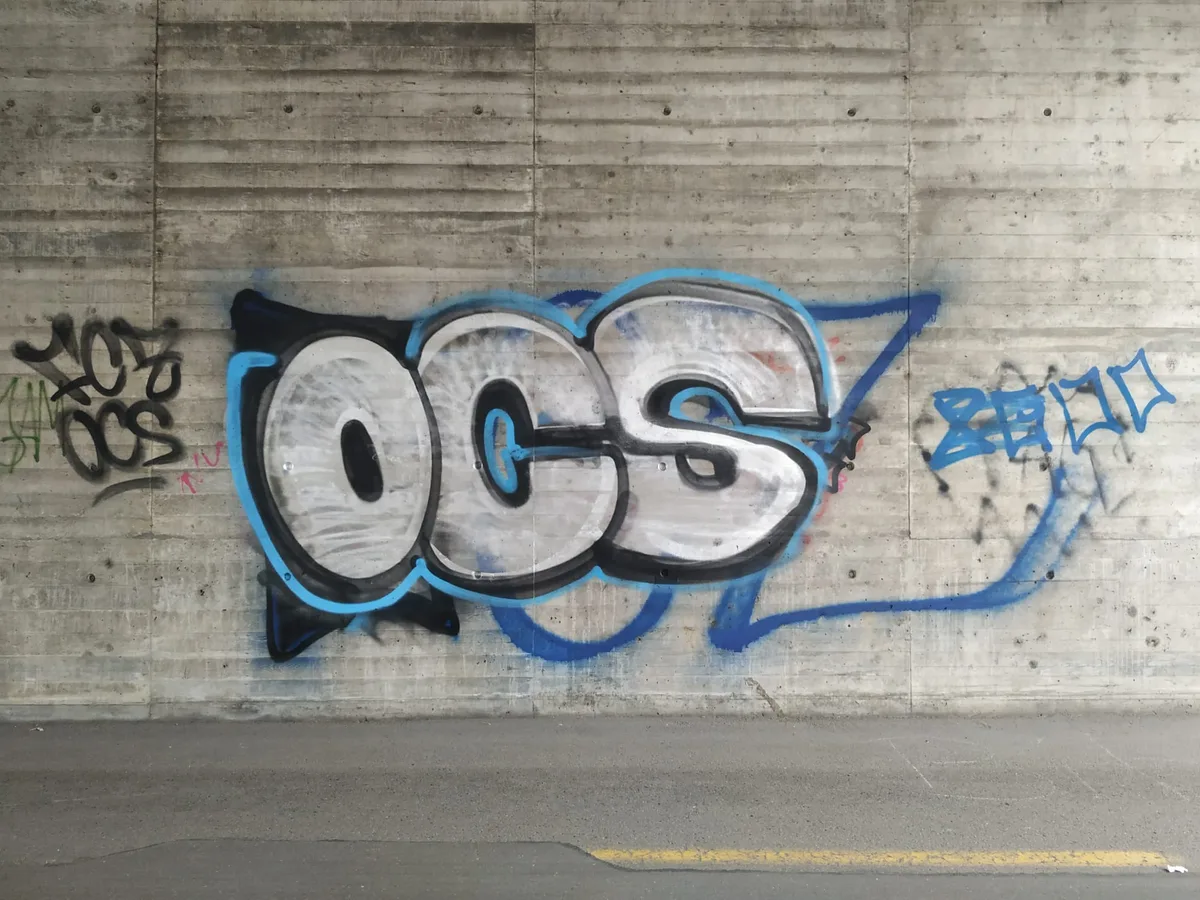 whatsapp_image_2020-06-08_at_18-42-15 Dieses Graffiti von FCZ-Fans ist neu. Der alte GC-Schriftzug wurde überschrieben.