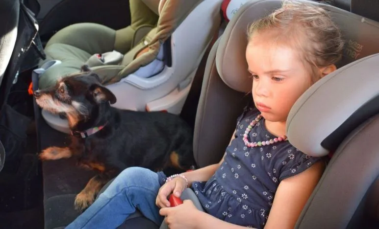 asdfaewtr Ein parkiertes Auto kann im Sommer innert kürzester Zeit zum lebensbedrohlichen Glutofen werden.