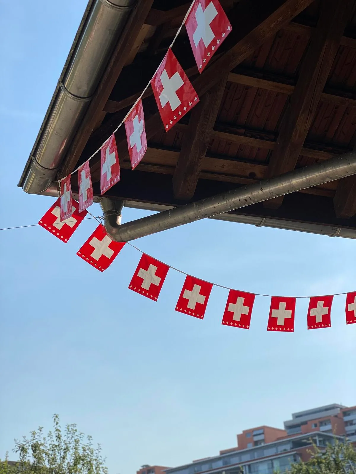 50175884736_1176a689af_k Der Bauernverband lud zum 1.-August-Brunch., Auch die Familie Rüegg vom Hinwiler Bodengut bot einen währschaften Zmorge an.