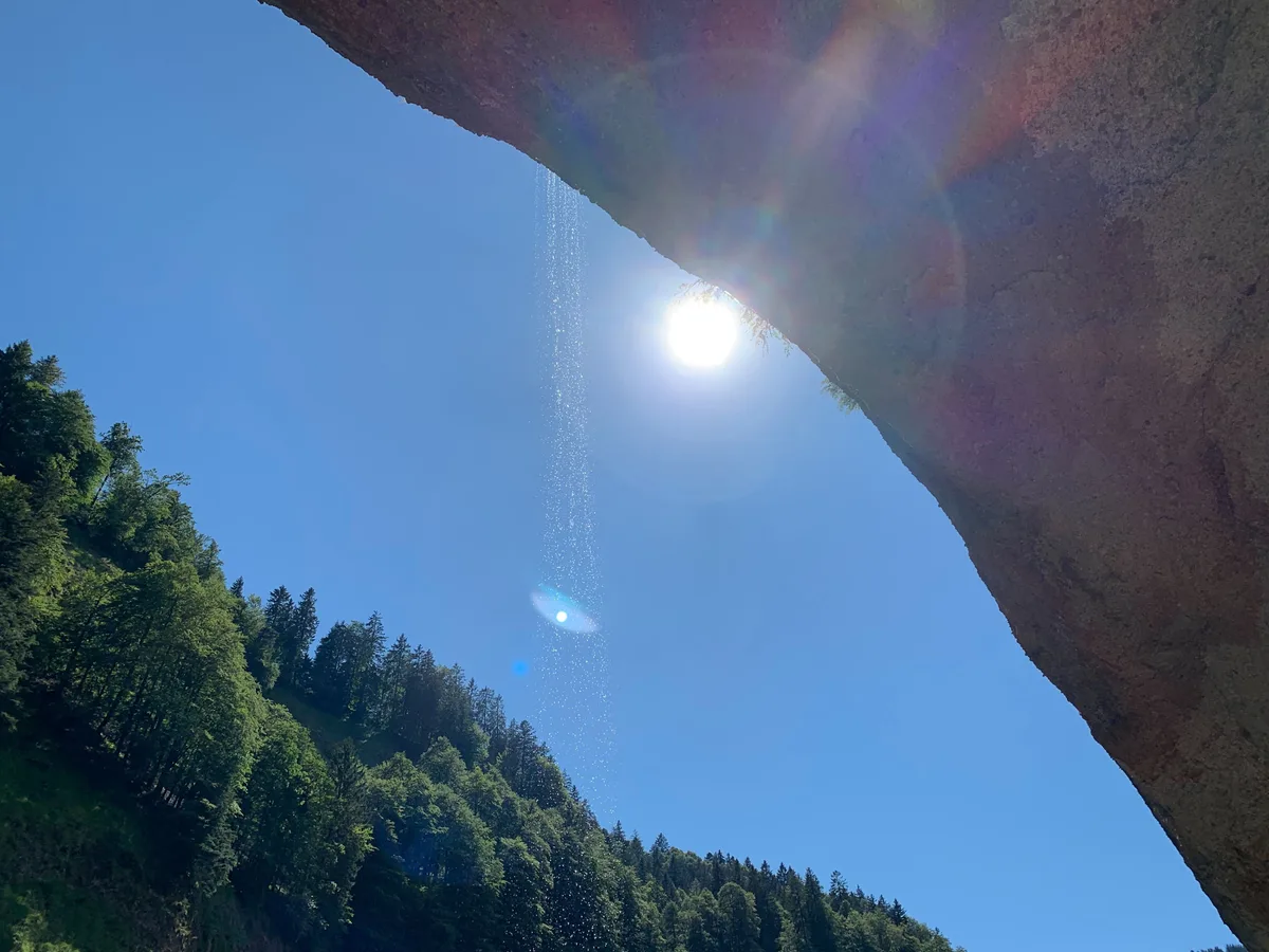 img_7578 Bis zu einem Drittel mehr Sonnenschein als üblich gab es im Juli.