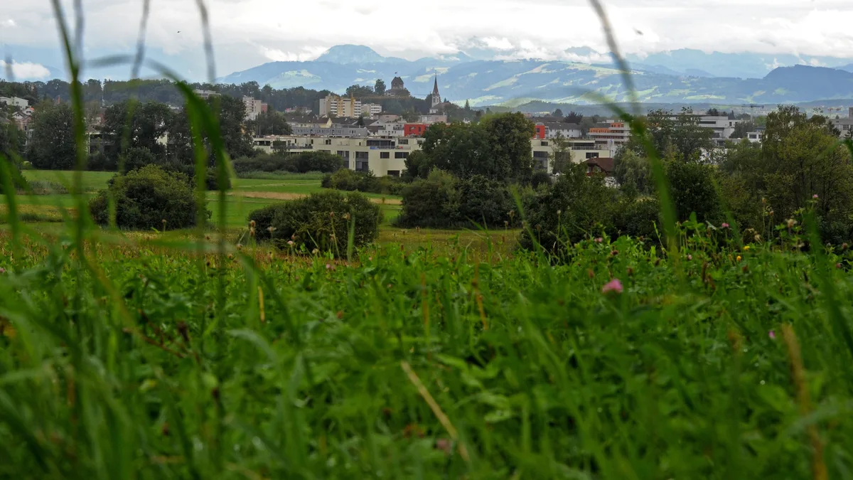 glattenried Im Werriker- und Glattenried soll neuer Lebensraum für bedrohte Flora und Fauna entstehen.