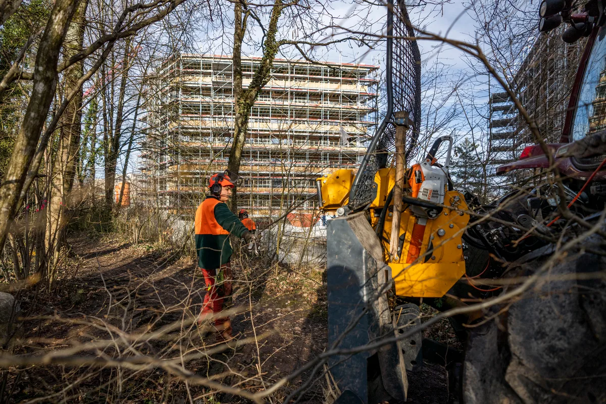 Im Februar liess die Stadt beim Zellweger-Park Bäume fallen. , So sieht der Wald heute aus., Auch in Vergangenheit liess die Stadt mit der Begründung der Auslichtung und Sicherheit Bäume fällen., Zurzeit werden auf dem  Areal Wohnungen gebaut, was dem Sicherheitsgedanken noch zusätzlich Gewicht geben dürfte.