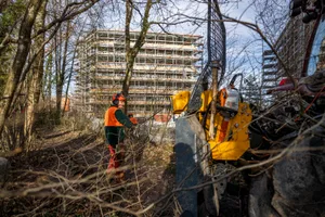 uster_17022020_holzschlag_crm_4 Im Februar liess die Stadt beim Zellweger-Park Bäume fallen. , So sieht der Wald heute aus., Auch in Vergangenheit liess die Stadt mit der Begründung der Auslichtung und Sicherheit Bäume fällen., Zurzeit werden auf dem Areal Wohnungen gebaut, was dem Sicherheitsgedanken noch zusätzlich Gewicht geben dürfte.