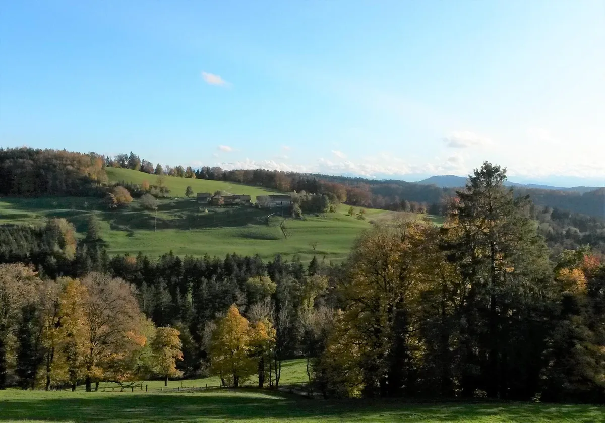 Entzückt die Wandergruppe: Der Blick von der Krete Richtung Ramsberg., Die Wandergruppe beim Weibelhuettli., Die Senioren erreichen die Krete., Nach einer Kaffeepause geht es weiter., Der Ramsberg in herbstlicher Pracht., Die Gruppe vor der Hochebene (Langlaufloipe).