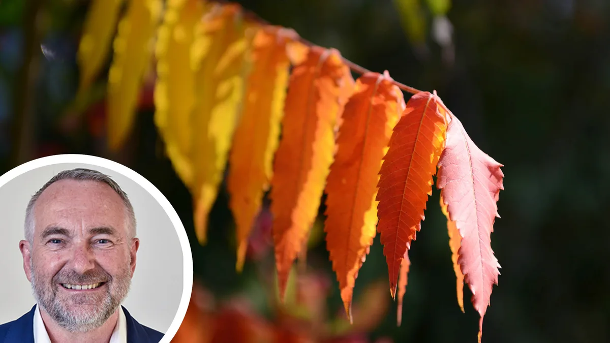 tth_herbst