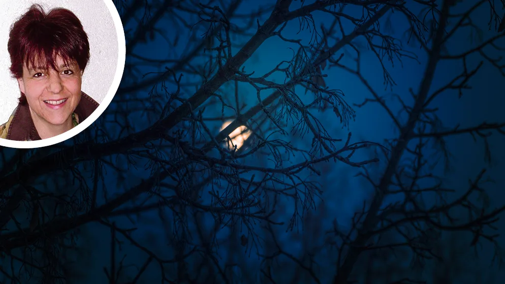 bildkombo_mond