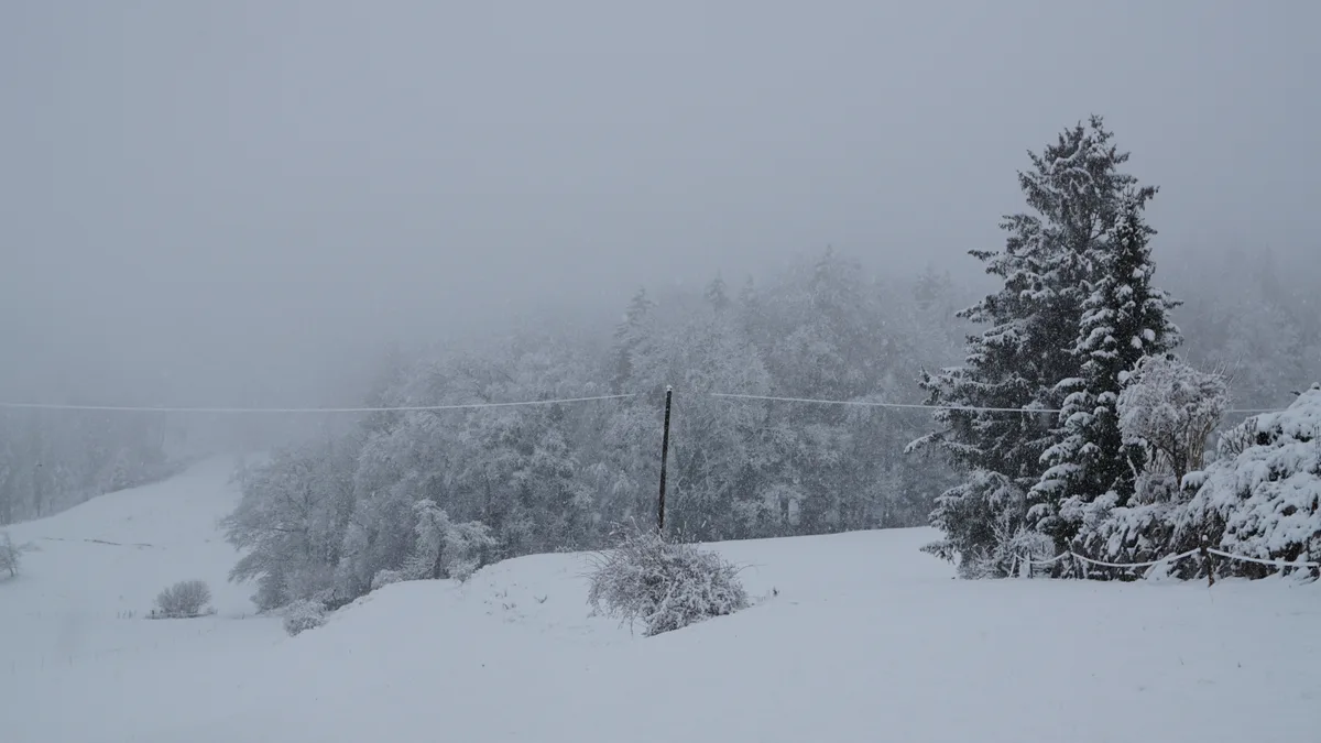 Schnee, der sich auf Leitungen anhäuft, führte in Mönchaltorf zu einem Kurzschluss.