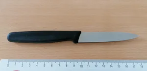 20_messer_klinge_8_cm_1_ehi Mit einem Küchenmesserchen dieser Art mit einer acht Zentimeter langen Klinge war die Frau auf ihren Mann losgegangen.