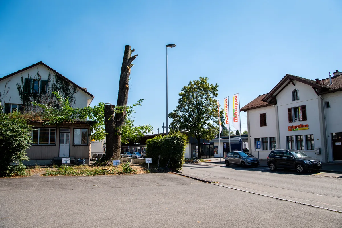 hinwil_07082020_baumgefaelltbhf_sbo_1 Kahl und stumpf: Von der 120-jährigen Linde am Bahnhof Hinwil ist nicht mehr viel übrig. , Bernhard Steiner, Besitzer des Steiner-Becks, liess den Baum ohne Bewilligung fällen., Das Vorgehen sorgte für Kritik. Nun haben die Gemeinde und Steiner eine Einigung getroffen.