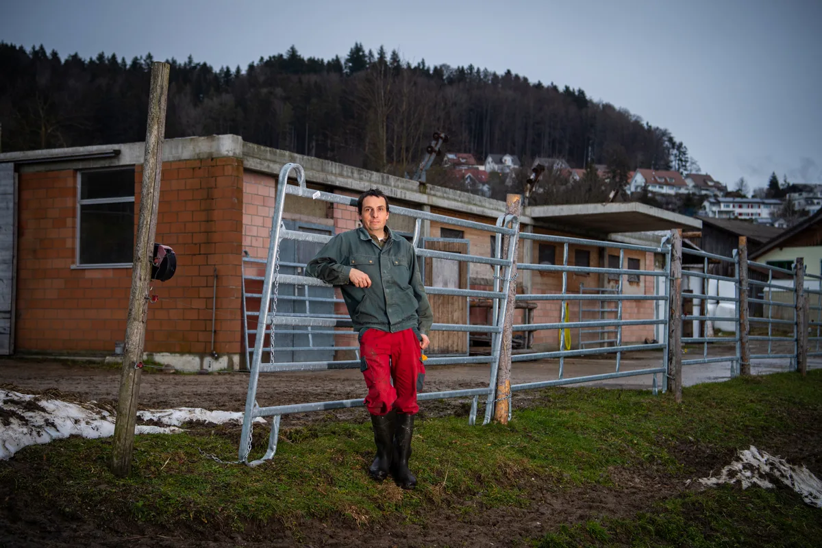 madetswil_04022021_provisoriumstall_sbo_4 Die Scheune von Andreas Wylenmann brannte vor zweieinhalb Jahren nieder. Die Überreste hat er zu einem Notstall umgebaut., Das Feuer kostete mehrere Tieren das Leben. , Der Landwirt wollte das Gebäude wieder aufbauen. Nun hat das Baurekursgericht entschieden, dass er das nicht darf.