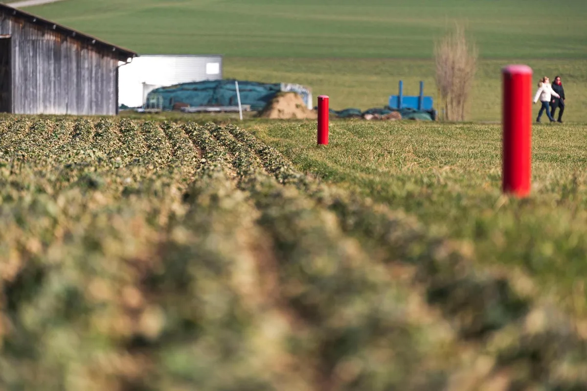 6q6ckihka_b982eiudqvns Rote Pfosten in einem Feld bei Dietlikon zeugen von Sondierungsbohrungen für den Brüttenertunnel., So sieht es im inneren der Rohre aus. Es geht um Messungen des Grundwasserspiegels im Bereich der Tunnelportale., In diesem Gebiet nördlich des Bahnhofs Dietlikon ist das Tunnelportal geplant.