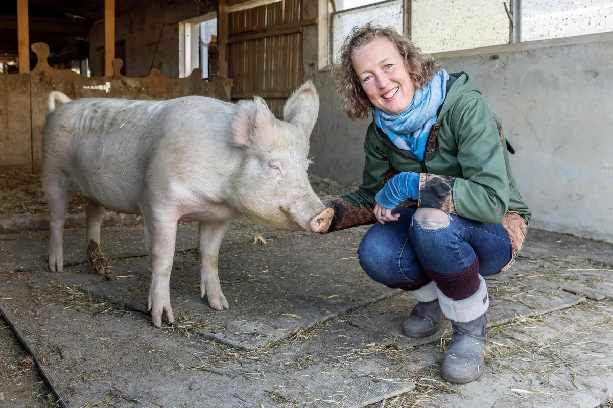 schwein Schweine wie Leonie dürfen auf Sarah Heiligtags Hof einfach sein. Nutzlos sind sie deshalb noch lange nicht.