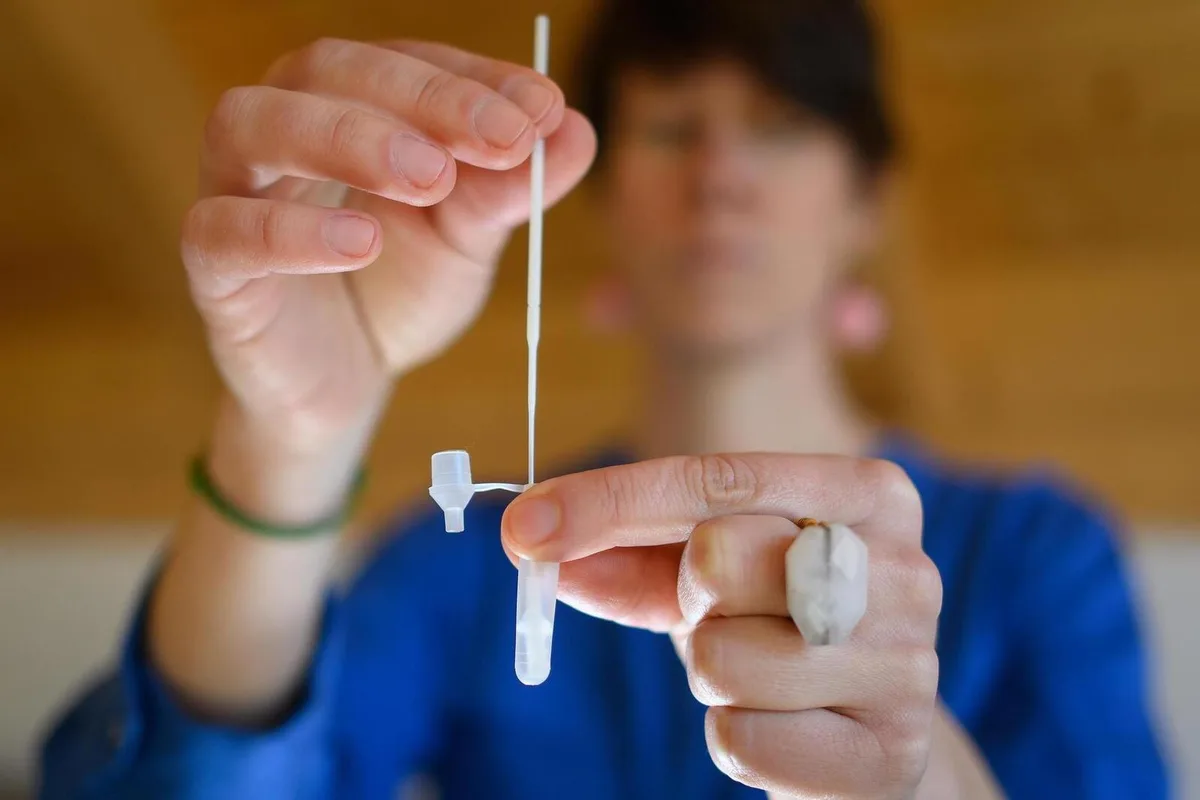 selbsttest Nach dem selbst durchgeführten Nasenabstrich muss das Stäbchen in ein Röhrchen mit Flüssigkeit getaucht werden.